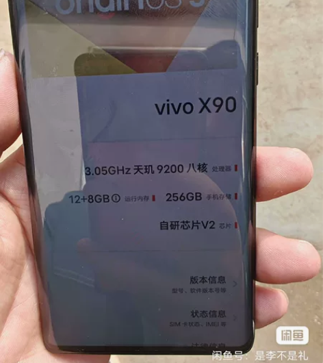 vivox90   12+256  23年...