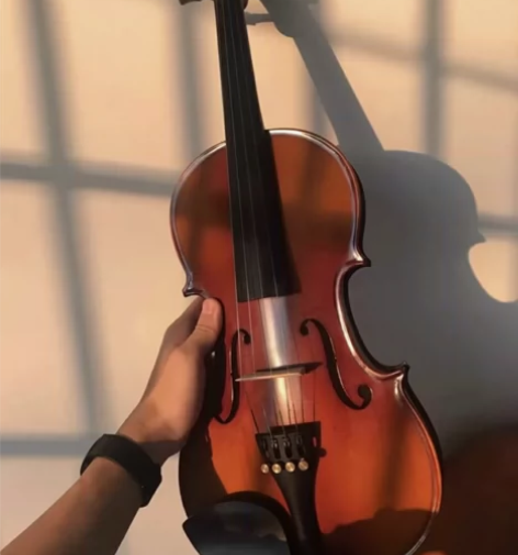 转让原价3500的小提琴,几乎没弹过小提琴...
