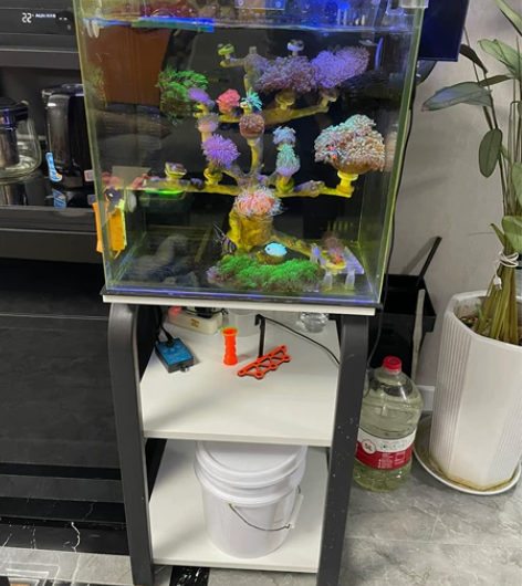 40背滤方缸海水缸蛋分格可以调节水位贴了去蓝光膜，可以滤袋可...