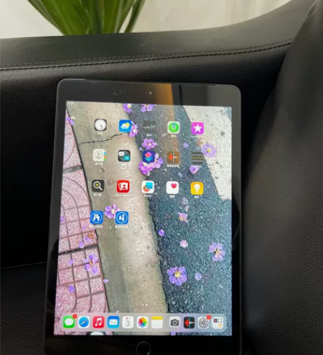 iPad 2019款 128g内存。 个人...