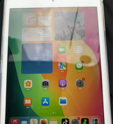 ?不用了。要的拍。苹果ipad mini5...