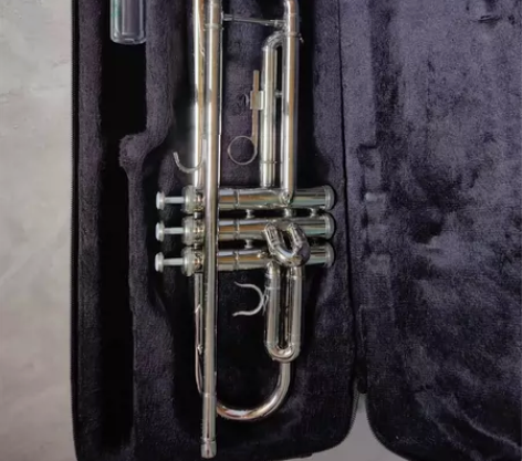 《低价处理》小号 乐器 初学演奏 降B调 ...