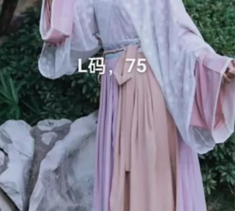 五五年家绝版晋制汉服，低价出原一百多入手的...