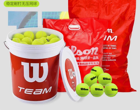 Wilson维威尔胜网球耐磨打单双人无压训...