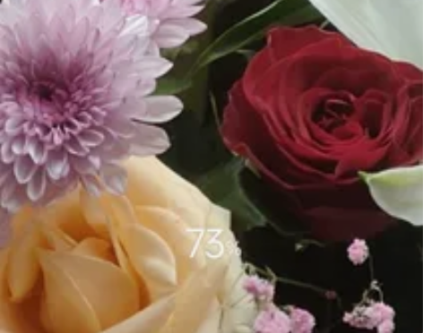 出HUAWEI nova 7 5G手机，采...