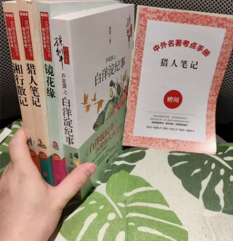 芦花荡之白洋淀纪事(孙犁作品集)白洋淀纪事...