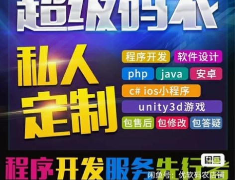计算机程序设计ASP.NET网站JAVA定...