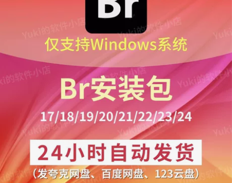 BR 软件安装包（永久使用），Adobe ...