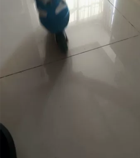 带去学了不到5次，小孩不愿意学，只能转让有...