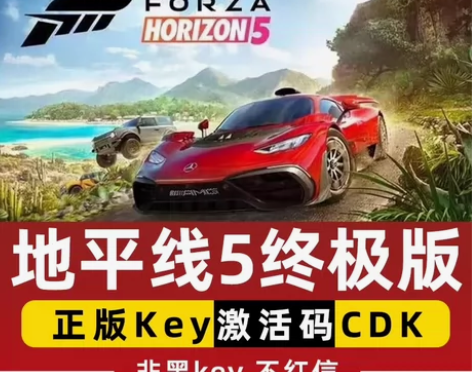 地平线5终极版！ steam平台正版游戏！...