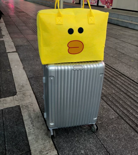 《全新特价12.9元包邮》毛毡旅行包行李收...