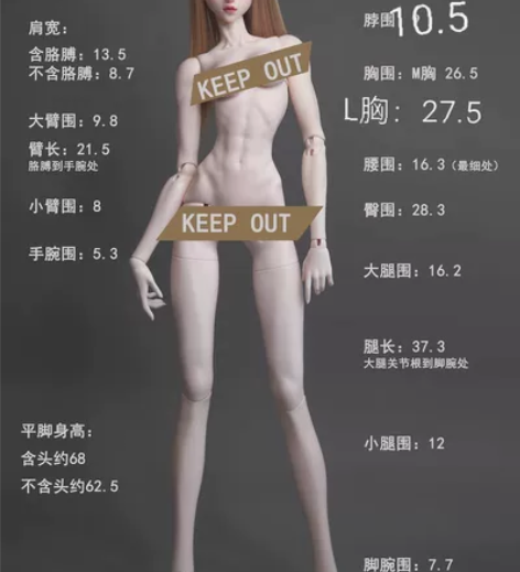 (现货可直拍)dfh68纤肌体(有肌肉的那...