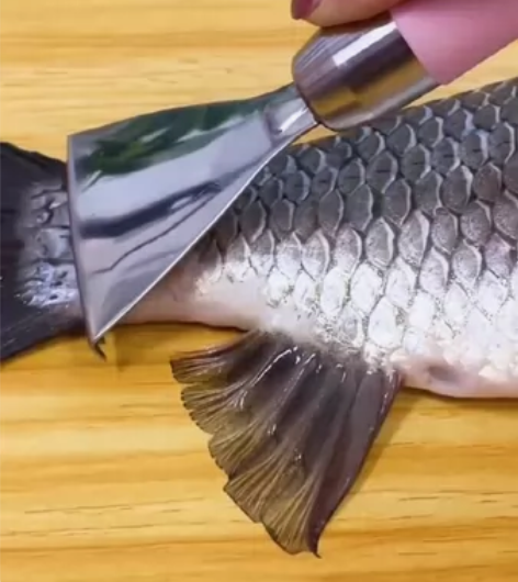 多功能不锈钢鱼鳞刨家用刮鱼鳞器手动打鱼刀厨...