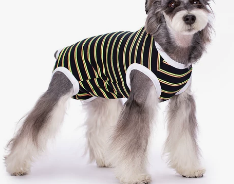 母狗狗连体生理裤 姨妈裤 防骚扰 纯棉新 ...