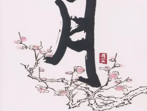 和平之月Pacific Moon全集全部专...