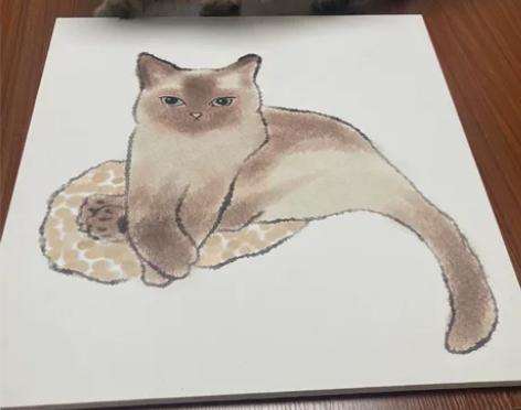 暹罗无框画装饰挂画 60×60 无明显瑕疵...