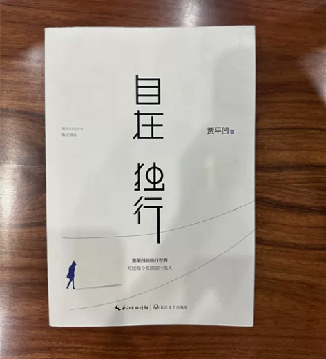 自在独行 贾平凹 几乎全新 10r自在独行...