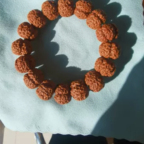 古龙铁籽爆肉蜂王大金刚，平头凹底，矮桩五爪...