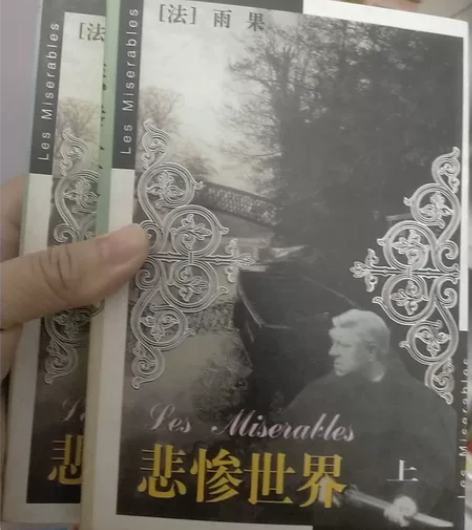 全新，自然旧，上下2册全   悲惨世界(上...
