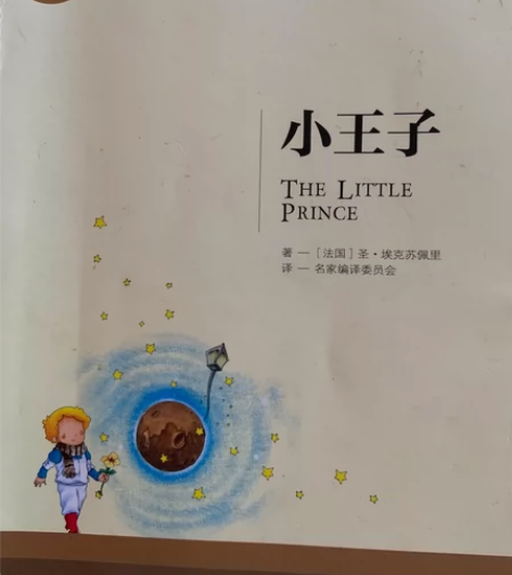 两本小王子和巴黎圣母院 标价可直拍 周末发