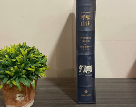 【正版未拆】呼啸山庄009（皮面精装）[英...