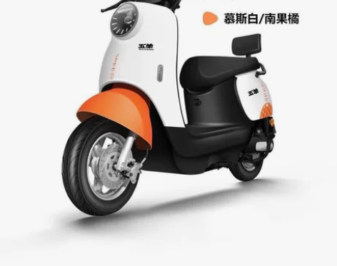 闲置个人转让，急售自己的电动车，都是全新的...