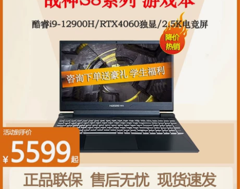 神舟战神 S8  酷睿I9/RTX4060...