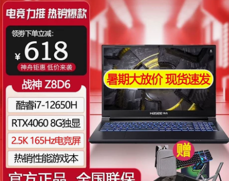 Hasee/神舟 战神 Z8D6 RTX4...