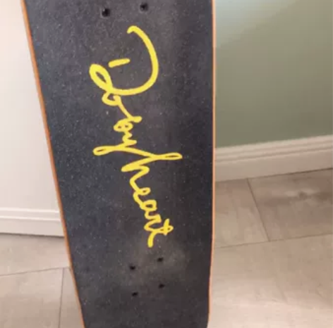 【上新价】DBH专业组装双翘滑板男女生儿童...