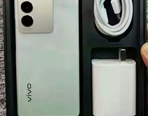 vivos16(95新)256G 搭配:骄...