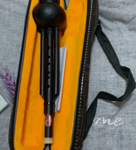 葫芦丝初学儿童成人c降b调专业演奏 感兴趣...