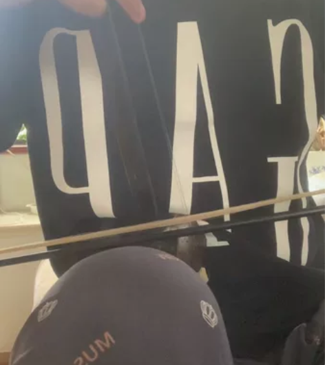 如图 一把保养非常不错的黑檀老料二胡 用料...