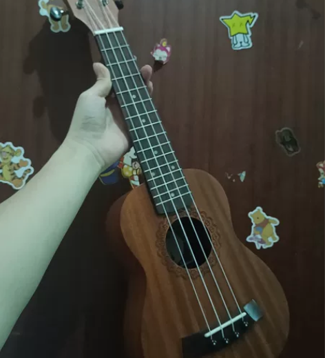 尤克里里，送外壳 感兴趣的话点“我想要”和...