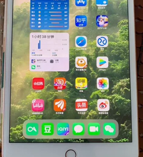 ?出 iPad Mini5 金色 64g ...