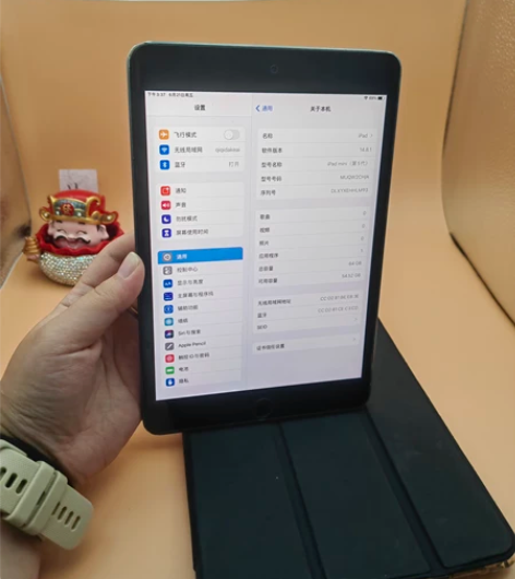 iPad mini5 国行 爱思全绿 指纹...