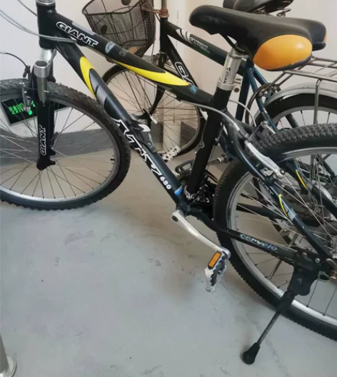出售两台自行车 一台捷安特 一台凤凰 差不...