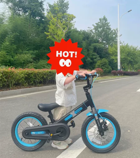 塔克贝贝儿童自行车 全新未拆封 360包邮...