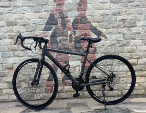 【包邮送配件大礼包】捷安特公路逃脱easc...