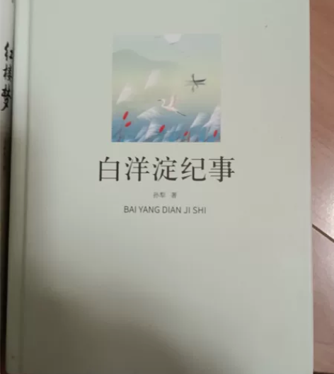 白洋淀纪事 爸妈买重复了就没用过 原价49...