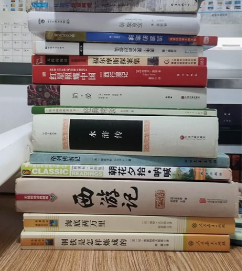 初中读物红岩乞力马扎罗的雪新华书店 感兴趣...