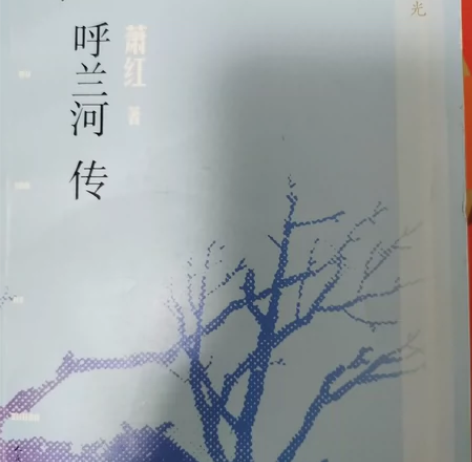 呼兰河传/漫说旧时光，每本10元。 感兴趣...