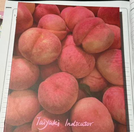 威利旺卡的芝士家本子 桃桃活页本 全新（含...