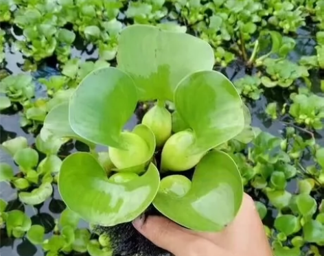 全国移动 联通 电信话费 200元拍 [1...