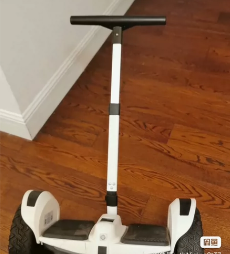 领奥平衡车2022年618日下单,期间孩子...