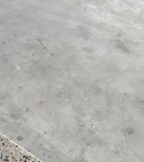 永久（FOREVER）儿童自行车男女小孩单...