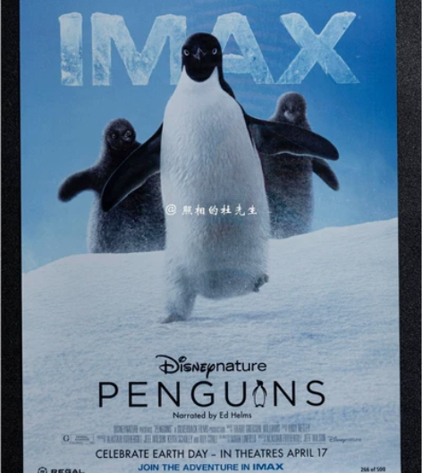 企鹅 迪士尼 纪录片 北美IMAX 电影海...