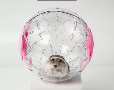 仓鼠跑轮跑球金丝熊玩具水晶跑步滚轮运动球透...