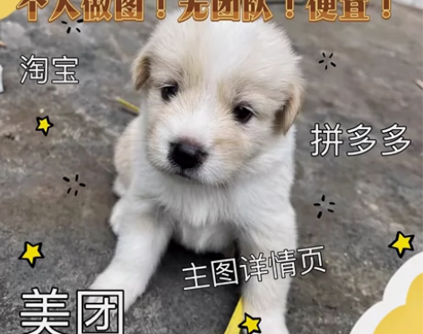 作图做图淘宝美工电商天猫美团阿里巴巴在线秒...