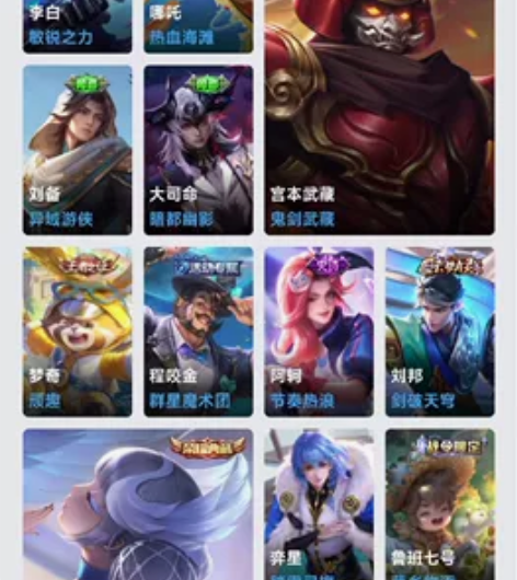 王者共号 永久共号 安卓q区 236个皮肤...