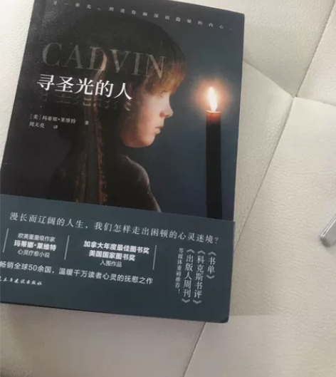 言情成长小说寻圣光的人青春文学甜文校园课外...